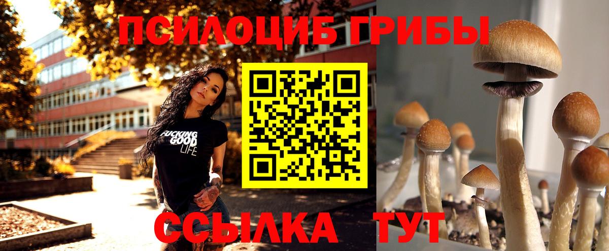 Меф МЯУ МЯУ   NBOMe  Сочи  Вход с VPN  A PVP СОЛЬ   МАРИХУАНА  Гашиш  ГАШИШ  Cocaine 