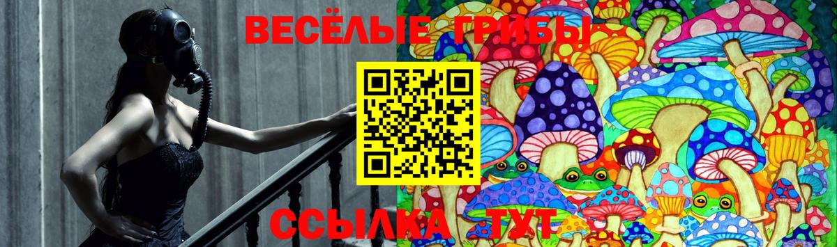 Псилоцибиновые грибы мухоморы Сочи